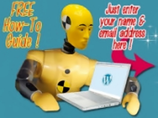 Product picture WP Websites For Dumb Dumbs 